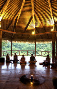 retreat_yoga3 SEMINARS WITH A FOCUS ON WELLNESS