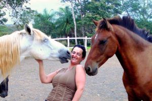 horses